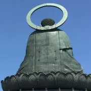 ターミの画像