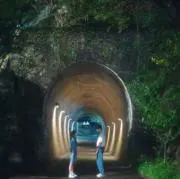 ぴぴの画像