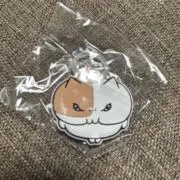 Momongamoの画像