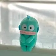 ❋haaaの画像