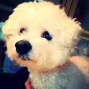 ちぃこ