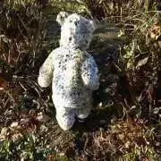 ★引っ越し準備中★の画像
