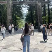 はなの画像