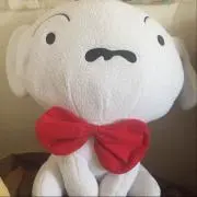 ママちゃん