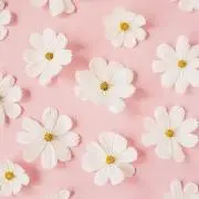 みたろう︎´`の画像