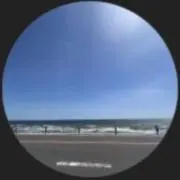 カメ丸の画像
