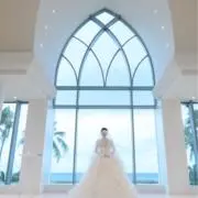 こうえりの画像