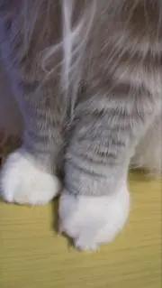 ヒーロー☆