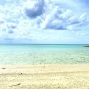 びすこの画像