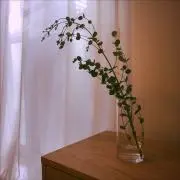 あゆみん