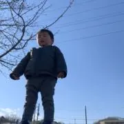 のりの画像