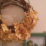 toriの画像