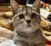 みゆ
