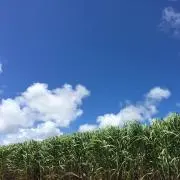 沖縄より☆到着まで時間くださいの画像