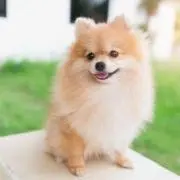 あいの画像