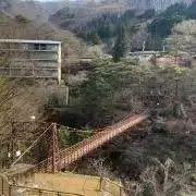 ゆの画像