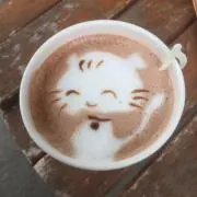 クロの画像