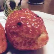 とんとろ