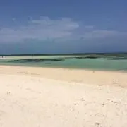 うさなお