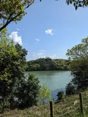 moの画像