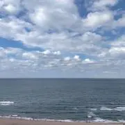 ありがとう（*ˊᵕˋ*）の画像