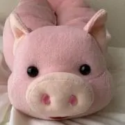 maronの画像