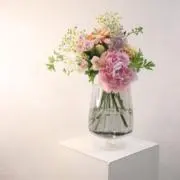 彩宗の画像
