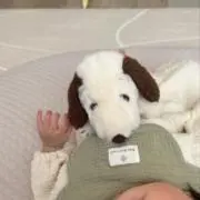 いとの画像