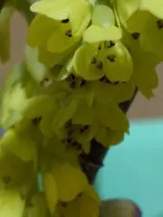 てらっちの画像
