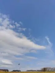 SUGIRYUの画像