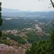 rifurekusaの画像