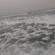じゃじゃまる