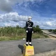 としの画像