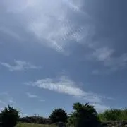りんまほ
