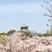 ぐりぐらの画像