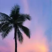 ゆう