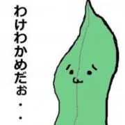 わけわかめの画像