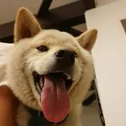 柚子丸チヨコの画像