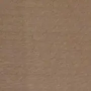 Tkp22の画像