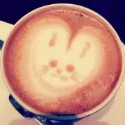 MUCCA断捨離中
