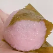 あんこの画像