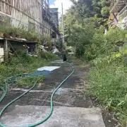 nooの画像