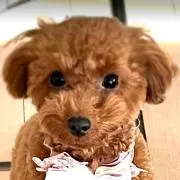 オカッチ