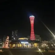 とろろの画像