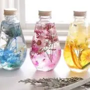 豆の画像