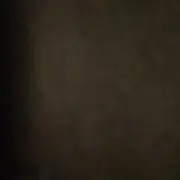 無名の画像