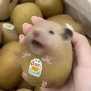 まなの画像