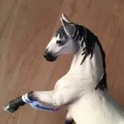 まめぞう
