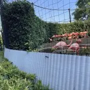 たーゆーの画像