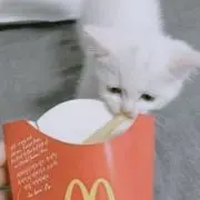 るりの画像